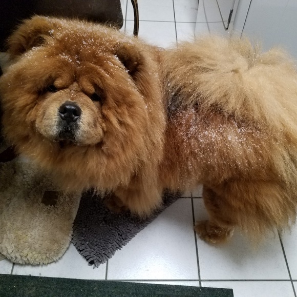 Nothing yet - Picture 5 of 5